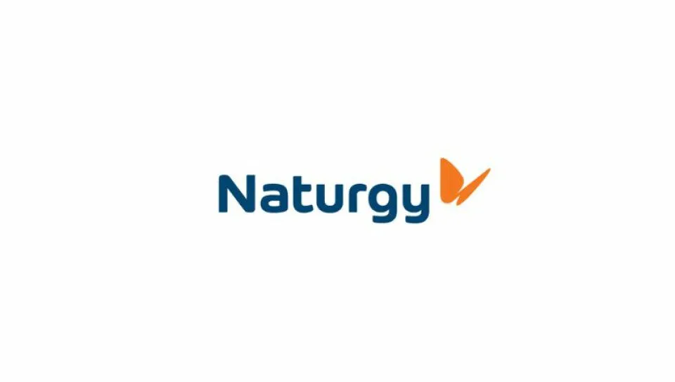 naturgy a
