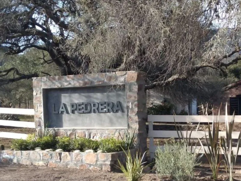 Diseño sin título (14)