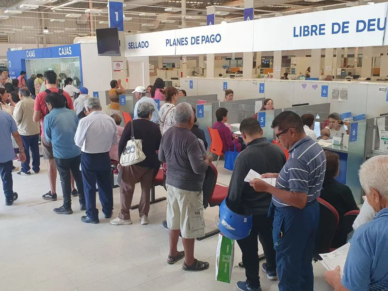 800 por 600 web (34)