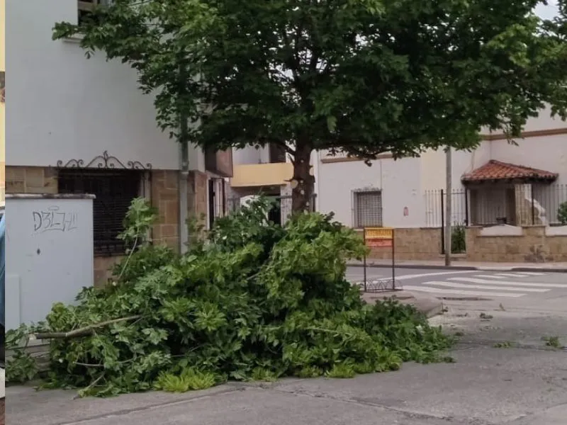 Diseño sin título (24)