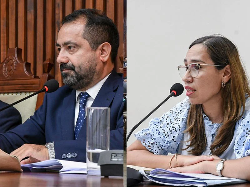 800 por 600 web (11)