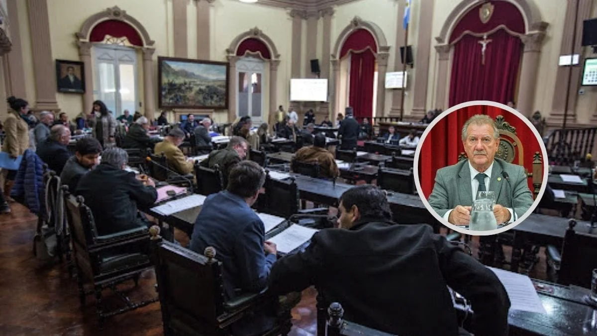 Senado M