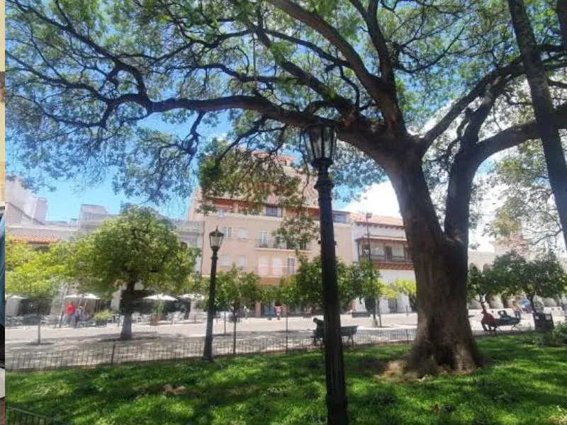 Diseño sin título (25)